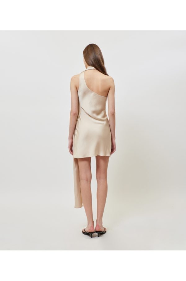 serena dress (1)