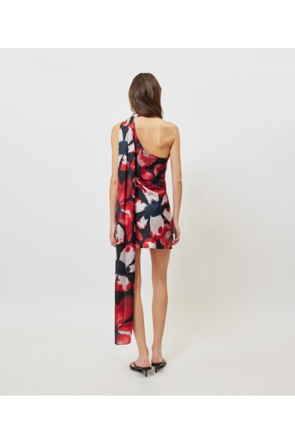 serena printed dress (1)
